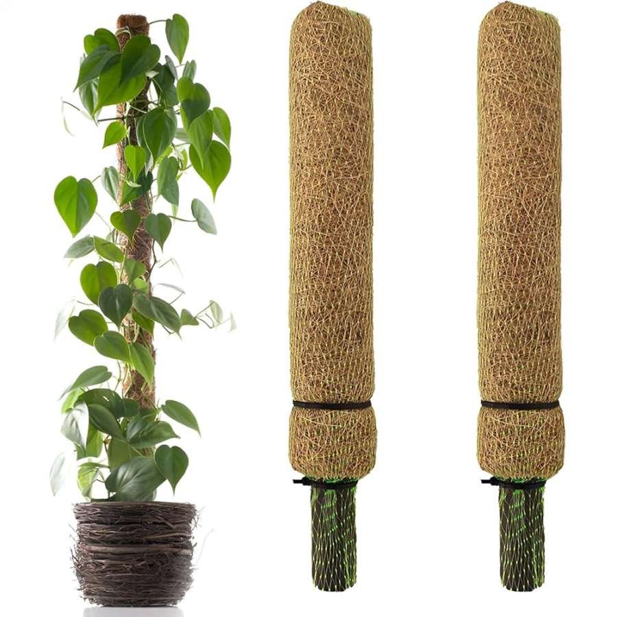 Coir Moss Stick